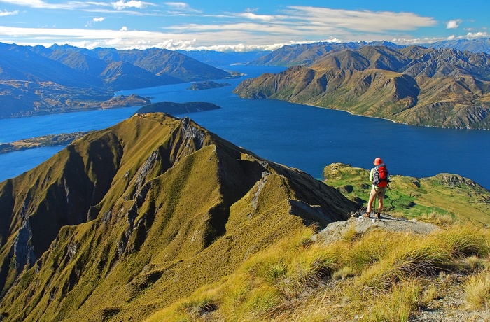 New Zealand Mount Aspiring National Park Wanaka Lake