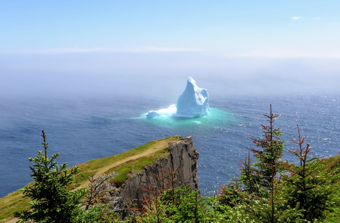 Isbjerg der driver forbi Newfoundland kyst langs Skerwink Trail, Canada