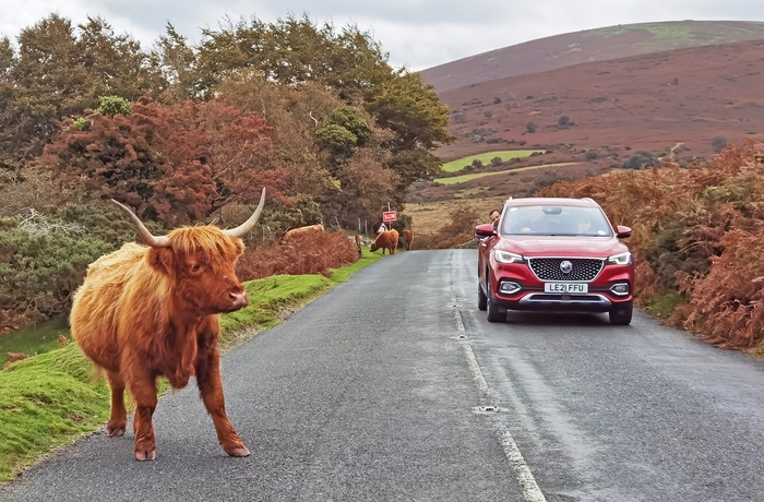 På vej gennem Dartmoor National Park i Sydengland