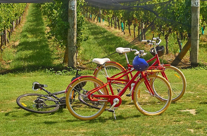 Vinregionen Wairarapa på New Zealands Nordø