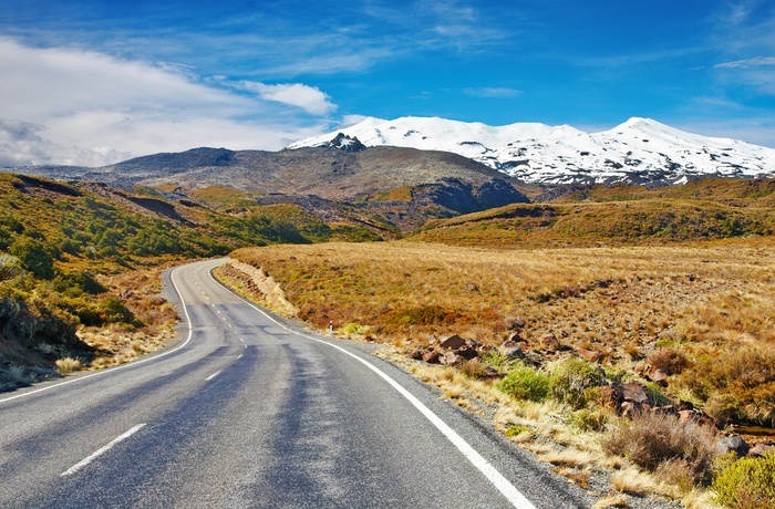 Vej mod vulkanen Mount Ruapehu, Nordøen i New Zealand