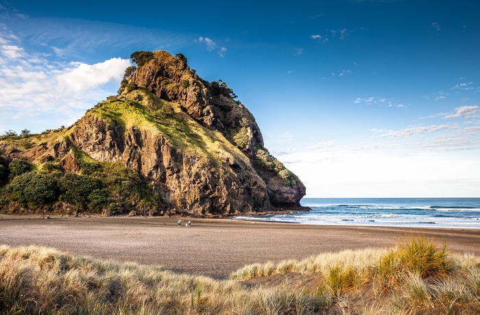 Stranden Piha Beach og Lion Rock i Waitakere Ranges Regional Park - Nordøen i New Zealand