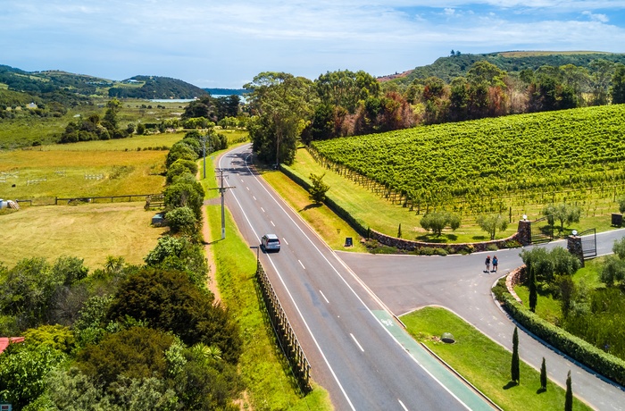 Vej gennem vinområde på øen Waiheke Island - Nordøen i New Zealand