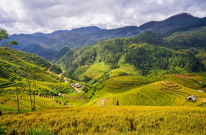 Rismarker og bjerge i Mai Chau - det nordlige Vietnam