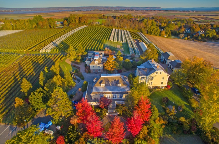 Vingården Domaine de Grand Pré, Nova Scotia i Canada - © Domaine de Grand Pré