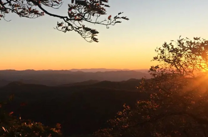 Oak Hill on Love Lane, NC, View