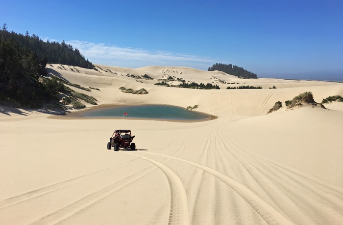 Beach Bygge i Oregon Dunes sandklitter