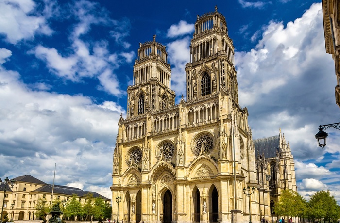Saint Croix Katedralen i Orléans, Frankrig
