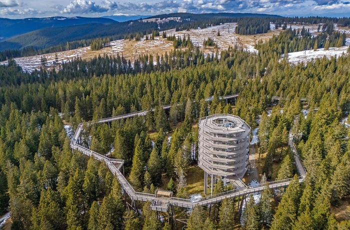 Pohorje Treetop Walk - Imponerende udsigtstårn og ganbro i trætoppene, Pohorje-bjergene i Slovenien