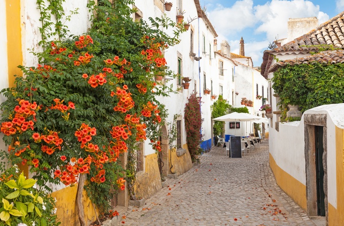 Smal brostensbelagt gade i Obidos, Portugal