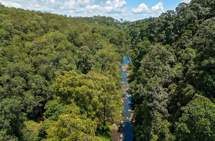 Broken River i Eungella National Park - Queensland i Australien