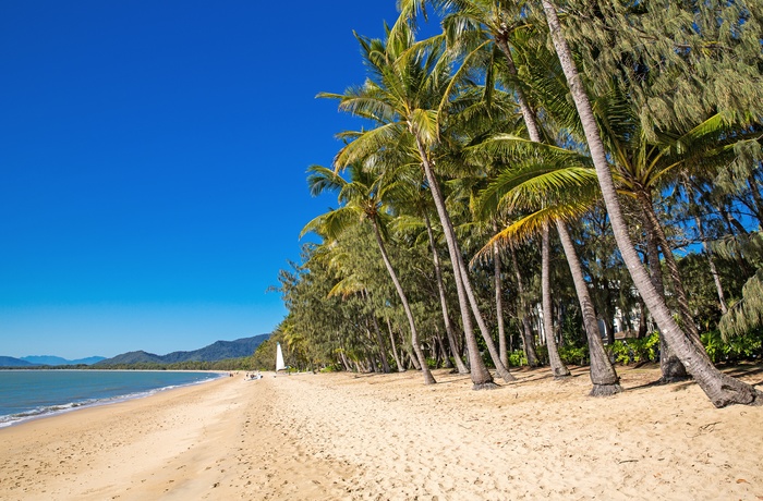 Tropisk strand i Far North Queensland, Australien