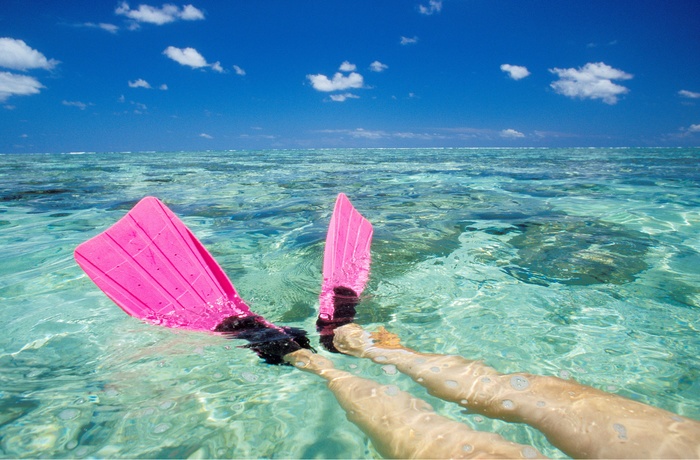 Lady Elliot Island i Great Barrier Reef er et af de bedste steder at snorkle i Queensland