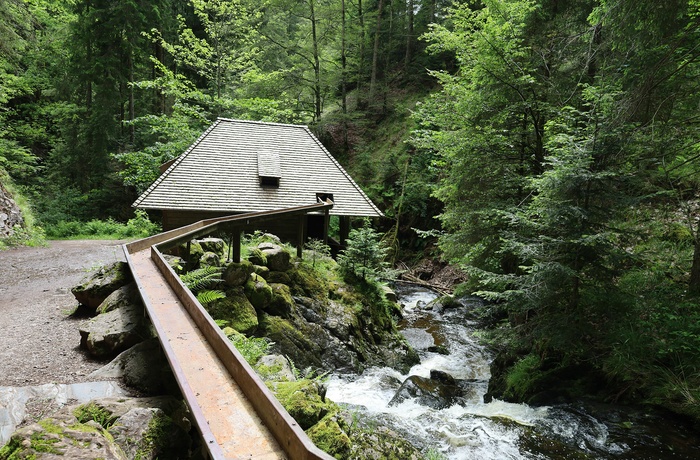 Ravenna-slugten i Schwarzwald