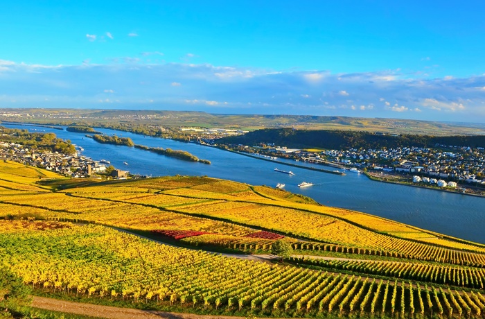 Rhindalen med vinmarker om efteråret, Rhinen-Mosel-Franken i Tyskland