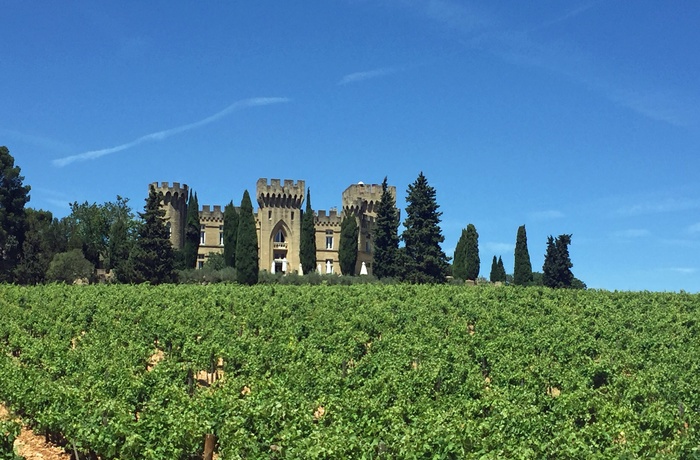 Vinslot ved byen Chateauneuf-du-Pape i Rhônedalen