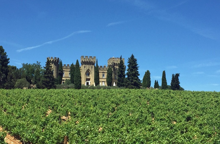 Vinslot ved byen Chateauneuf-du-Pape i Rhônedalen