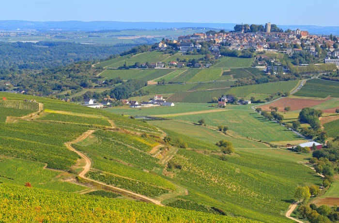 Sancerre - vue over vinmarker mod byen, Frankrig