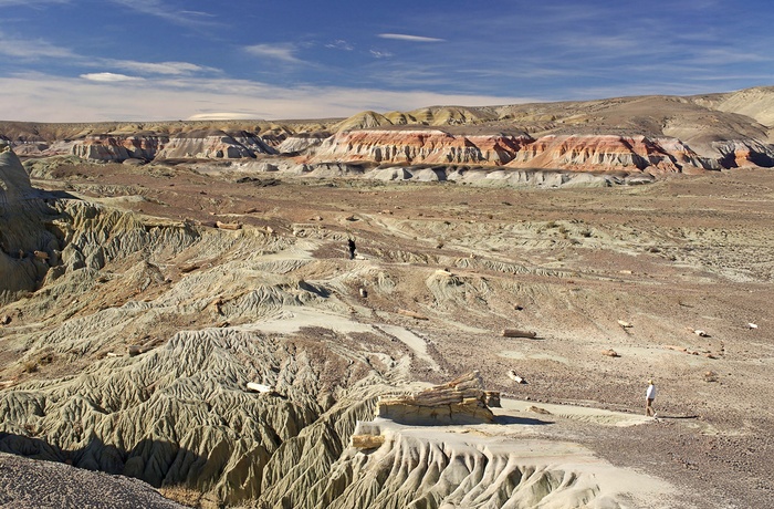 Sarmiento Petrified Forest i Argentina - Patagonien