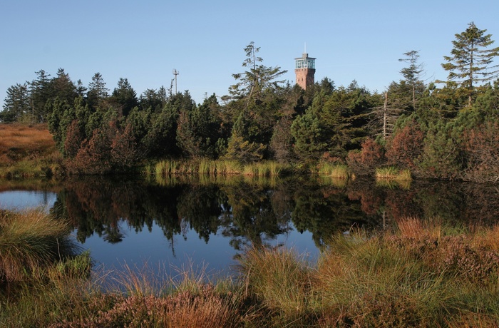 Efterår i Hornisgrinde på Schwarzwaldhochstrasse, © Peter Jülg, Tourist-Information Seebach