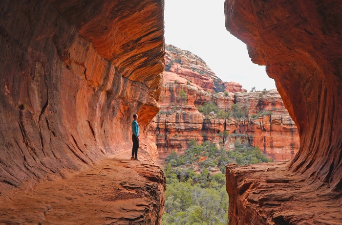 Subway Cave i Boyton Canyon nær Sedona i Arizona - USA