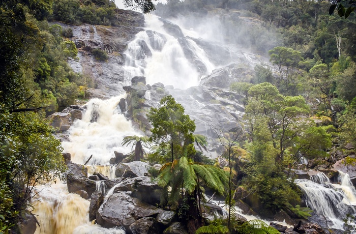 St Colomba-vandfaldet nær  Pyengana - Tasmanien