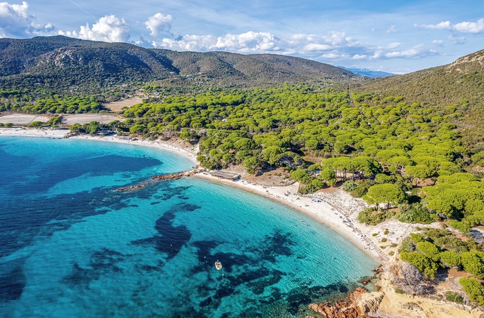 Stranden Palombaggia på Korsika, Frankrig