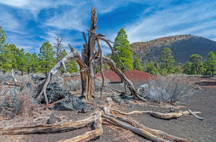 Sunset Crater Volcano National Monument - Arizona