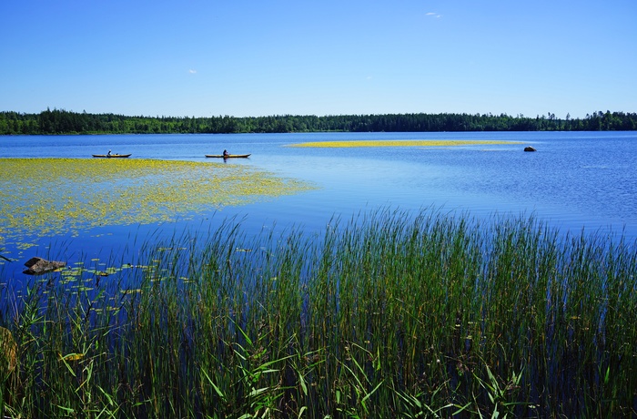 Med kano/kajak i Åsnens nationalpark og sø i Småland, Sverige