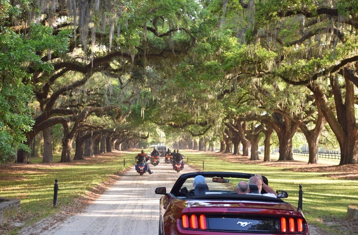Boone Hall Plantation i South Carolina, Sydstaterne i USA
