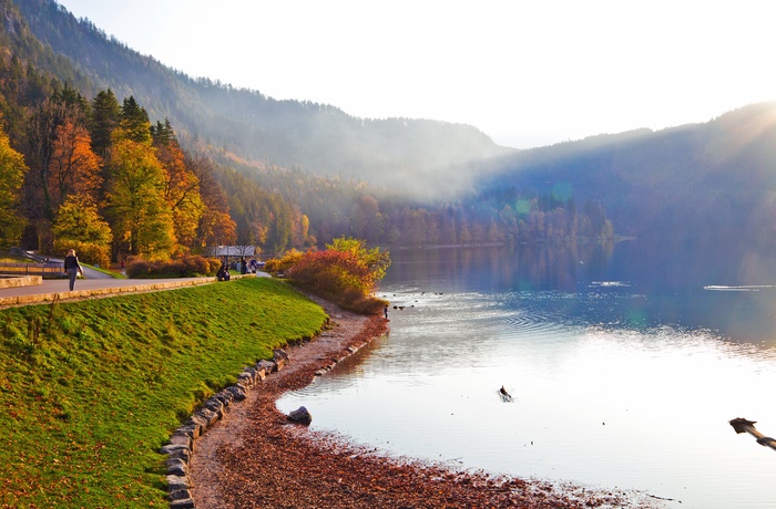 Grosser Alpsee i efterårsfarver, Sydtyskland