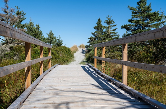 Sti til stranden i Taylor Head Provincial Park - Nova Scotia i Canada