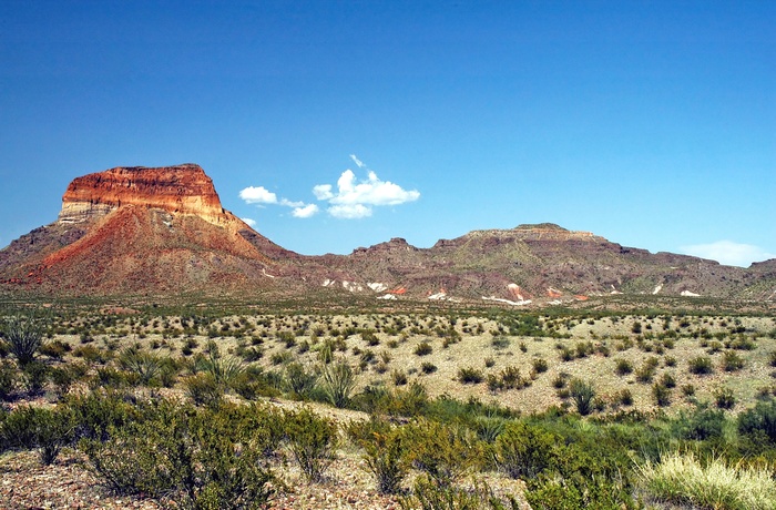 Udsigt til Chisos Mountains i Big Bend National Park, Texas i USA