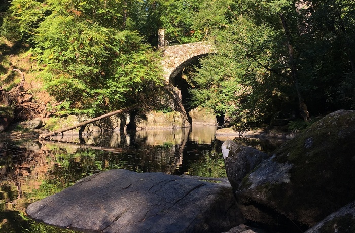 The Hermitage med floden Braan, Skotland