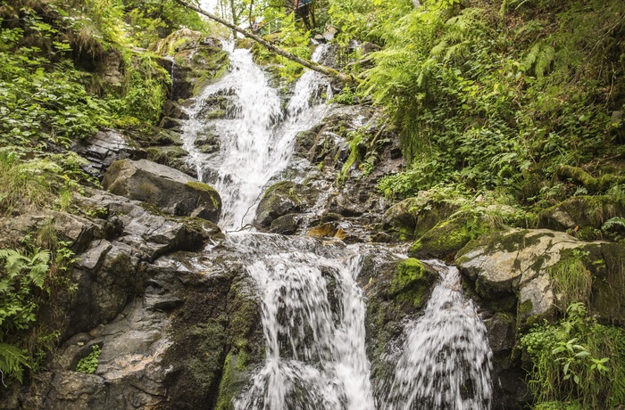 Todtnauer Wasserfall © Hochschwarzwald Tourismus GmbH