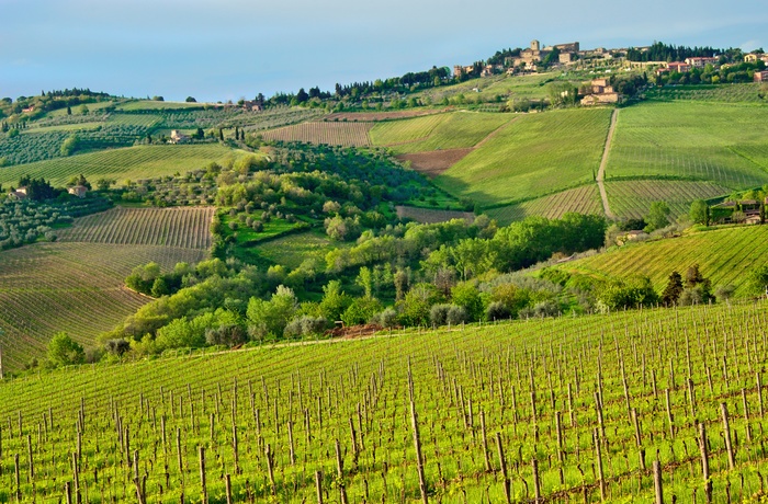 Vinområdet Chianti i Toscana, Italien