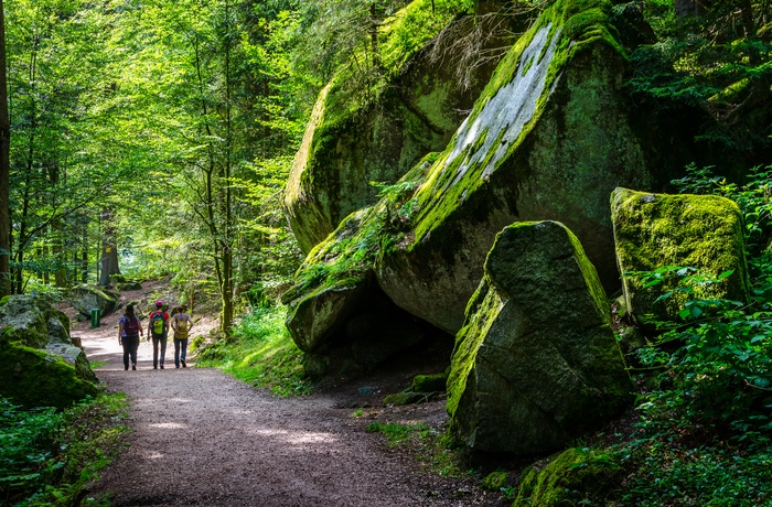 Turgængere i Schwarzwald i Tyskland