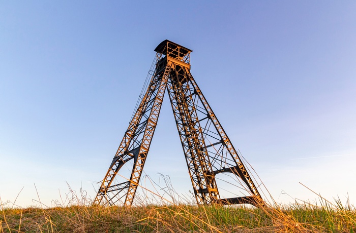 Levn fra en gammel mine i UNESCO området Erzgebirge