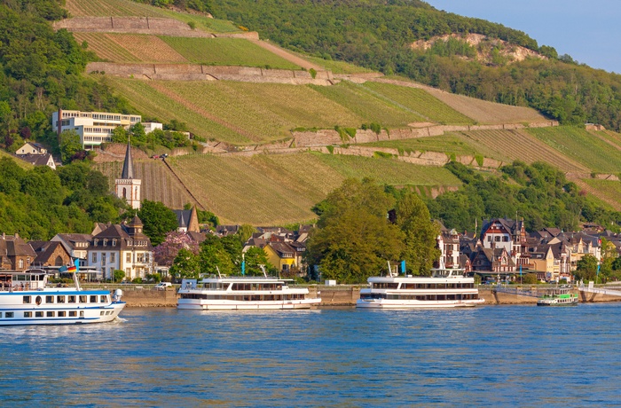 Turbåde til- og fra Assmannshausen ved floden Rhinen, Midttyskland