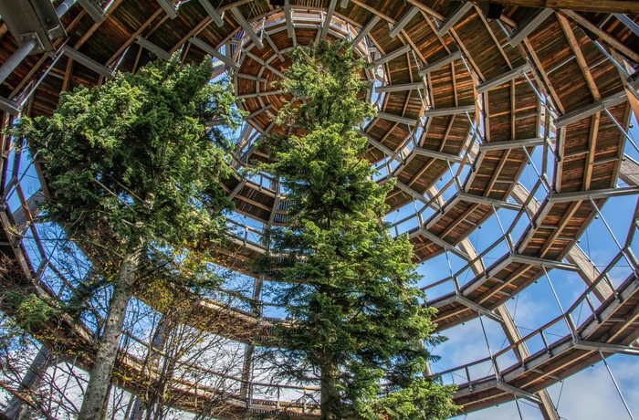 Baumwipfelpfad, Tree Top Walk i Bayerischer Wald nationalpark, Sydtyskland