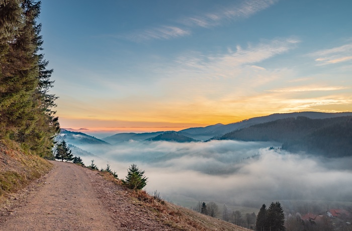 Vej rundt om bjerget Belchen i Schwarzwald, Sydtyskland