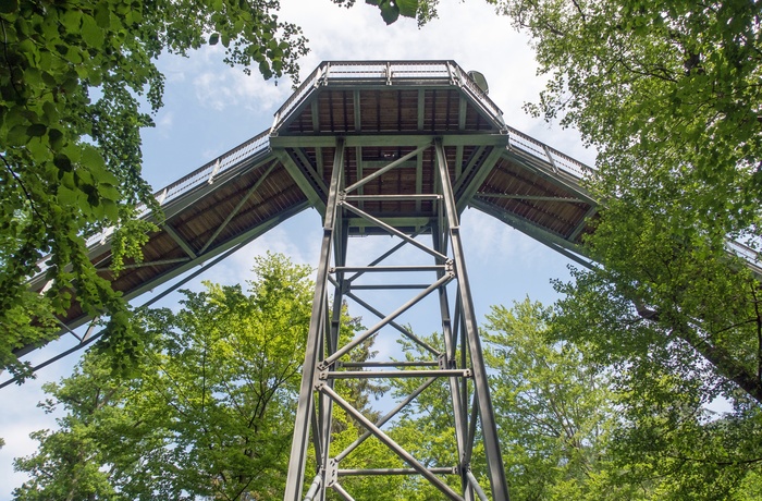 Baumwipfelpfad Harz, treetop talk gangbro i Harzen, Midttyskland