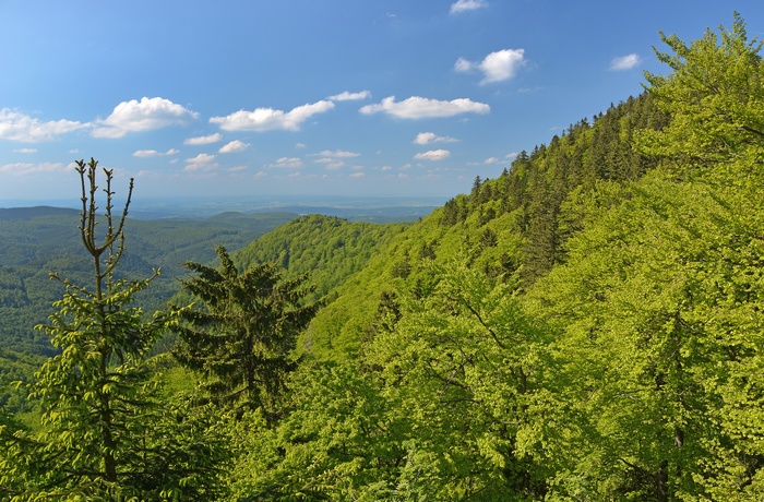 Inselberg, Thüringen i Tyskland