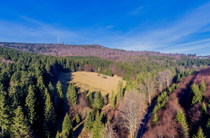 Naturen omkring Inselberg, Thüringen i Tyskland