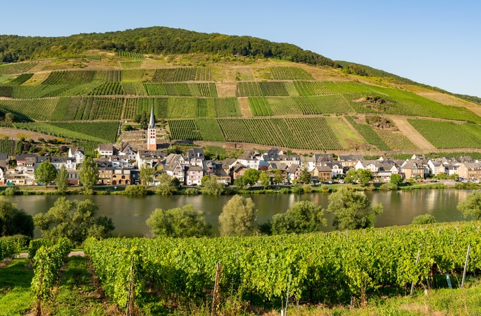 By langs Mosel-floden med vinmarker i baggrunden, Tyskland