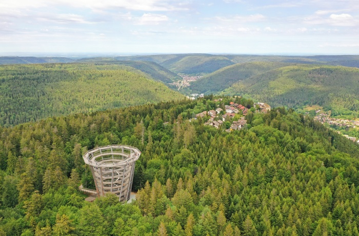 Udsigtstårnet i Black Forest, Schwarzwald, Sydtyskland