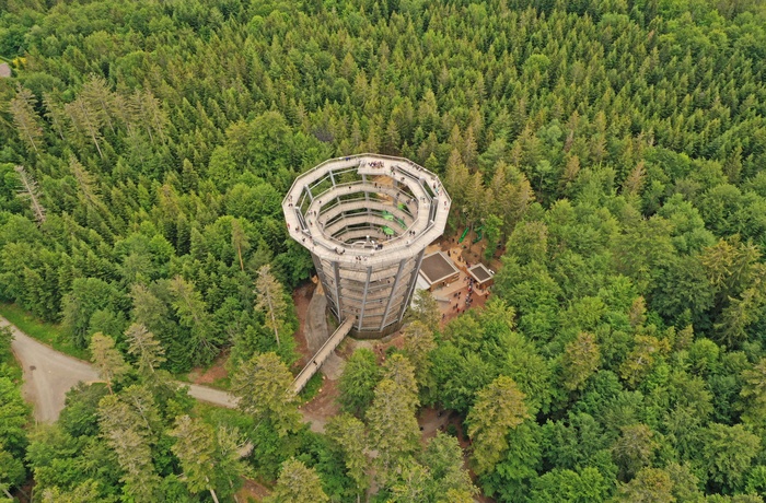 Udsigtstårnet i Black Forest, Schwarzwald, Sydtyskland