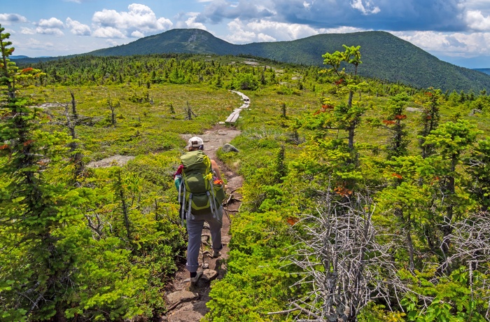 Hiker på vandreruten Appalachian Trail - USA