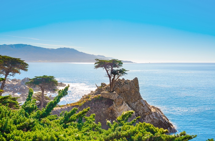 USA Californien 17 Mile Drive Pebble Beach