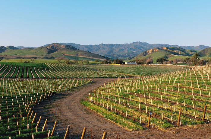 USA Californien Santa Ynez Valley